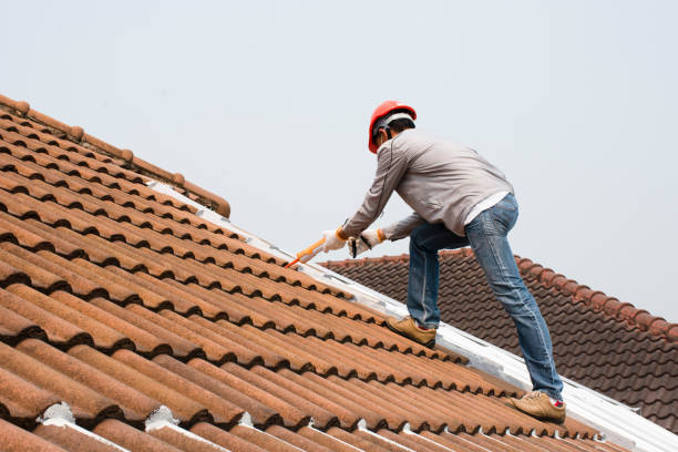 Best Rubber Roofing (EPDM, TPO)  in East Renton Highlands, WA